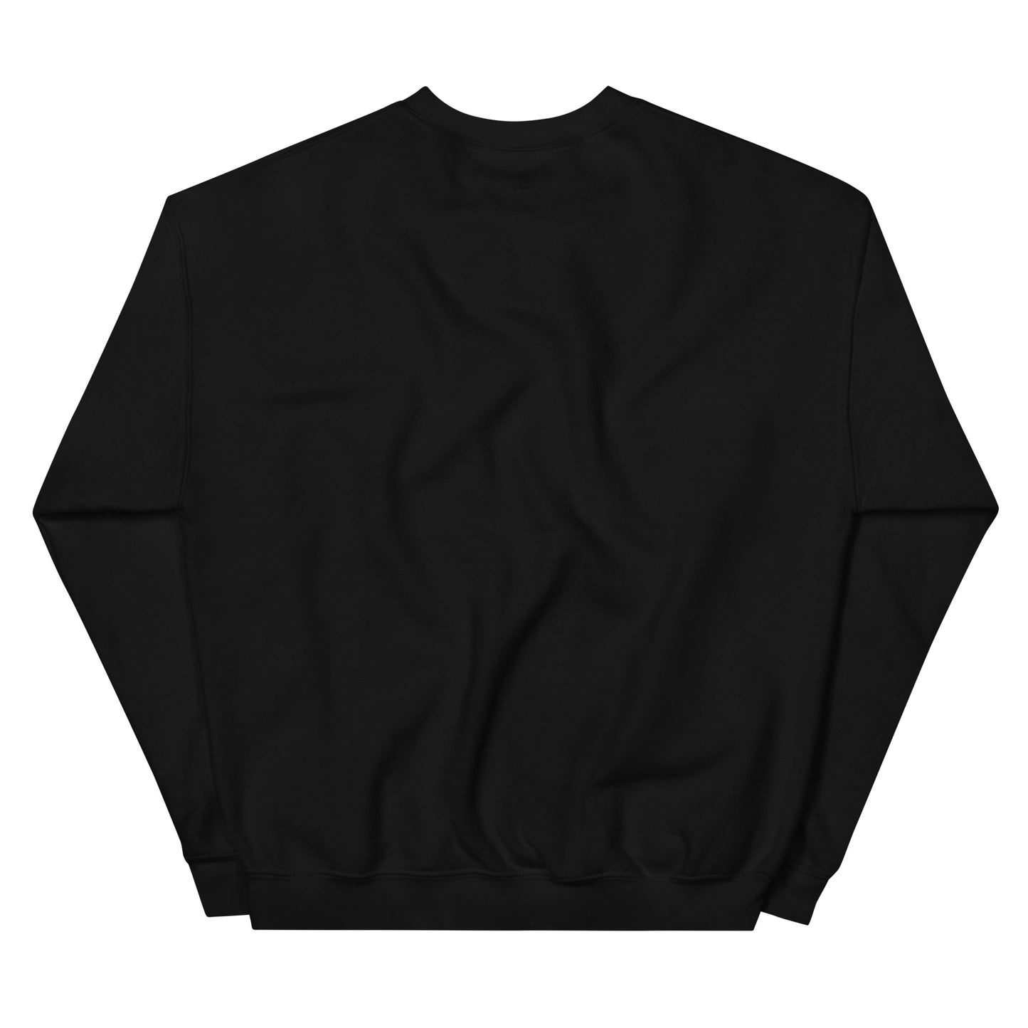 Evolution | Co-Tesh | Unisex Sweatshirt